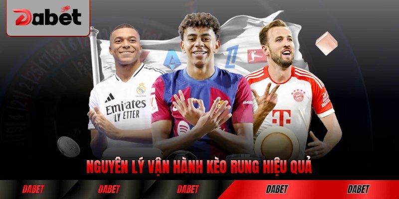 Nguyên lý vận hành kèo rung hiệu quả hiện nay